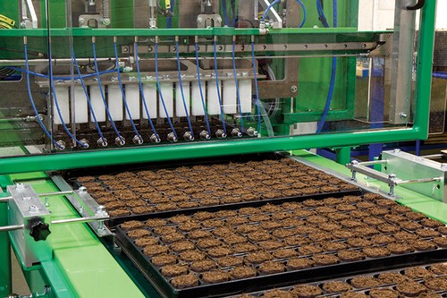 shell out machine seed
